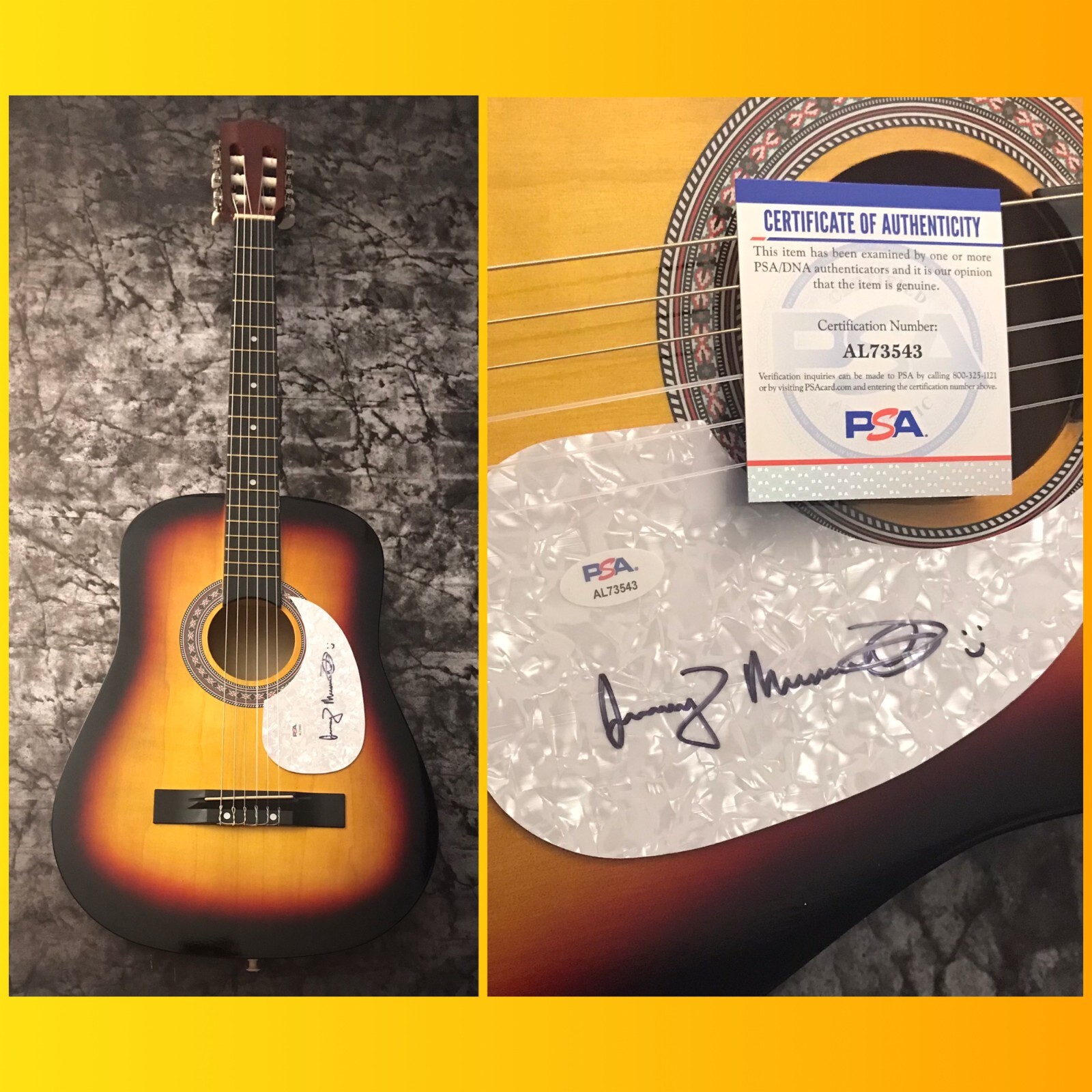 PSA The Reluctant Graveyard * JEREMY MESSERSMITH * Signed Acoustic Guitar COA