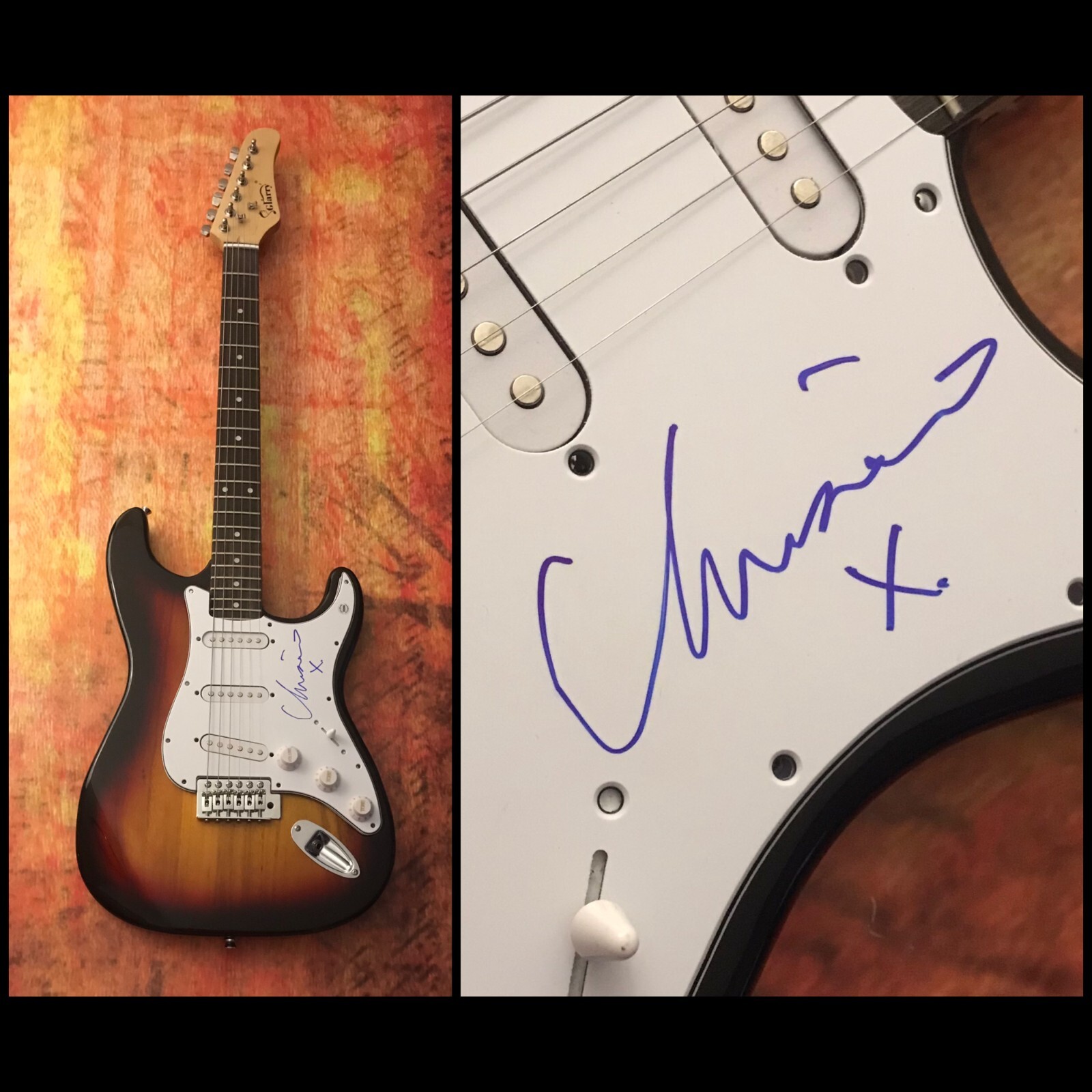 GFA The Pretenders * CHRISSIE HYNDE * Signed New Electric Guitar PROOF AD1 COA
