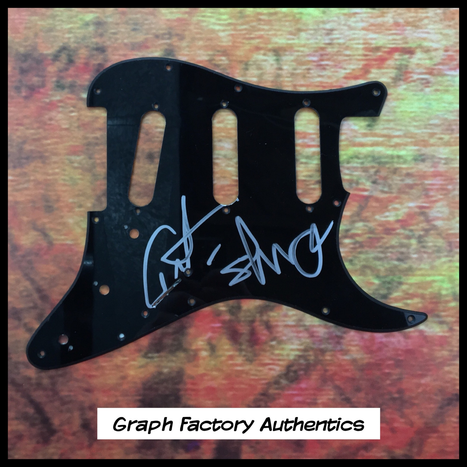 GFA Slug & Ant Duo * ATMOSPHERE * Signed Electric Pickguard PROOF AD1 COA