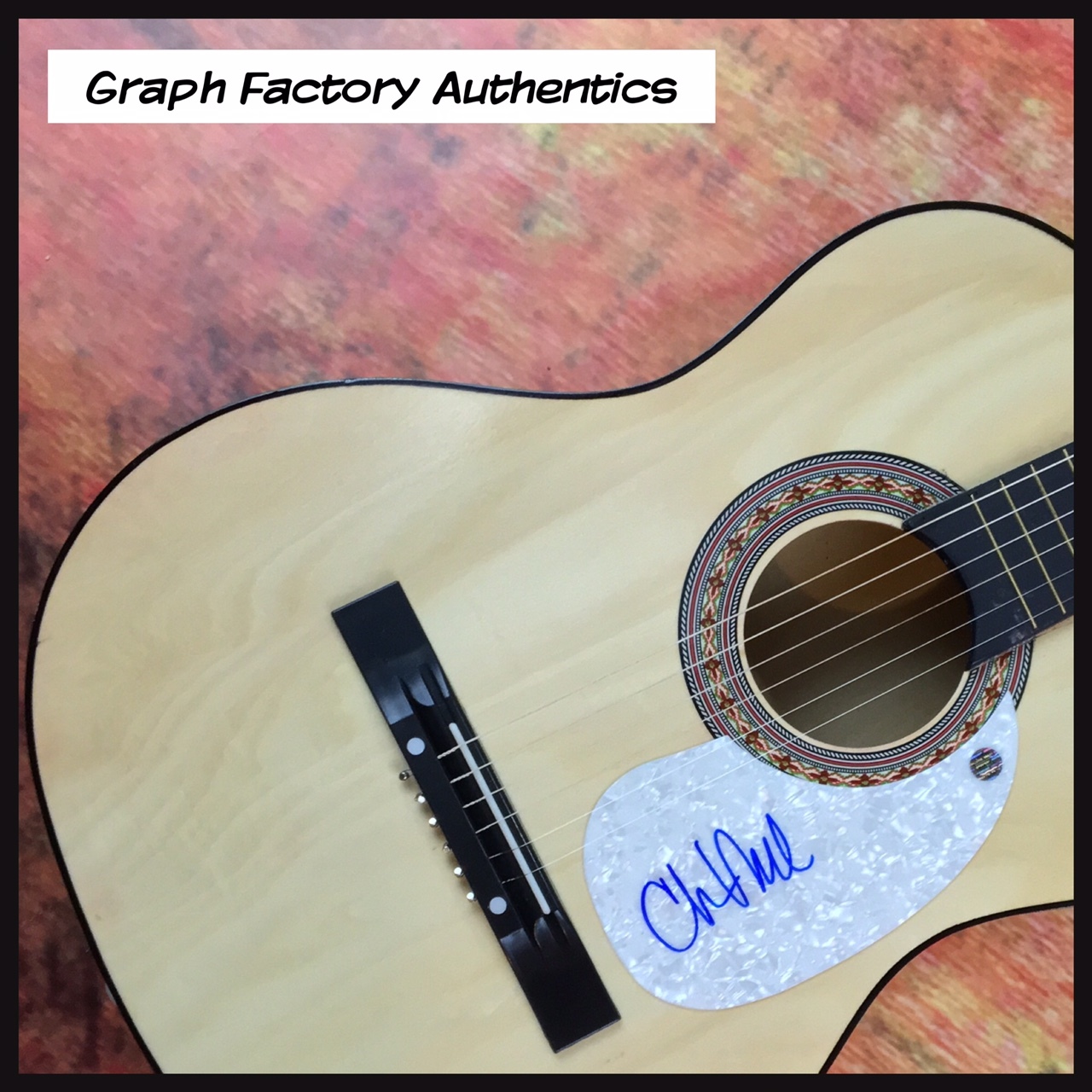 GFA Country Music Artist * CHUCK MEAD * Signed Acoustic Guitar PROOF AD2 COA