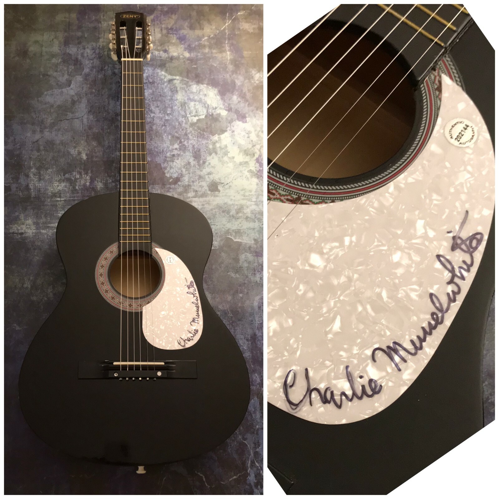 GFA No Mercy in this Land * CHARLIE MUSSELWHITE * Signed Acoustic Guitar C1 COA
