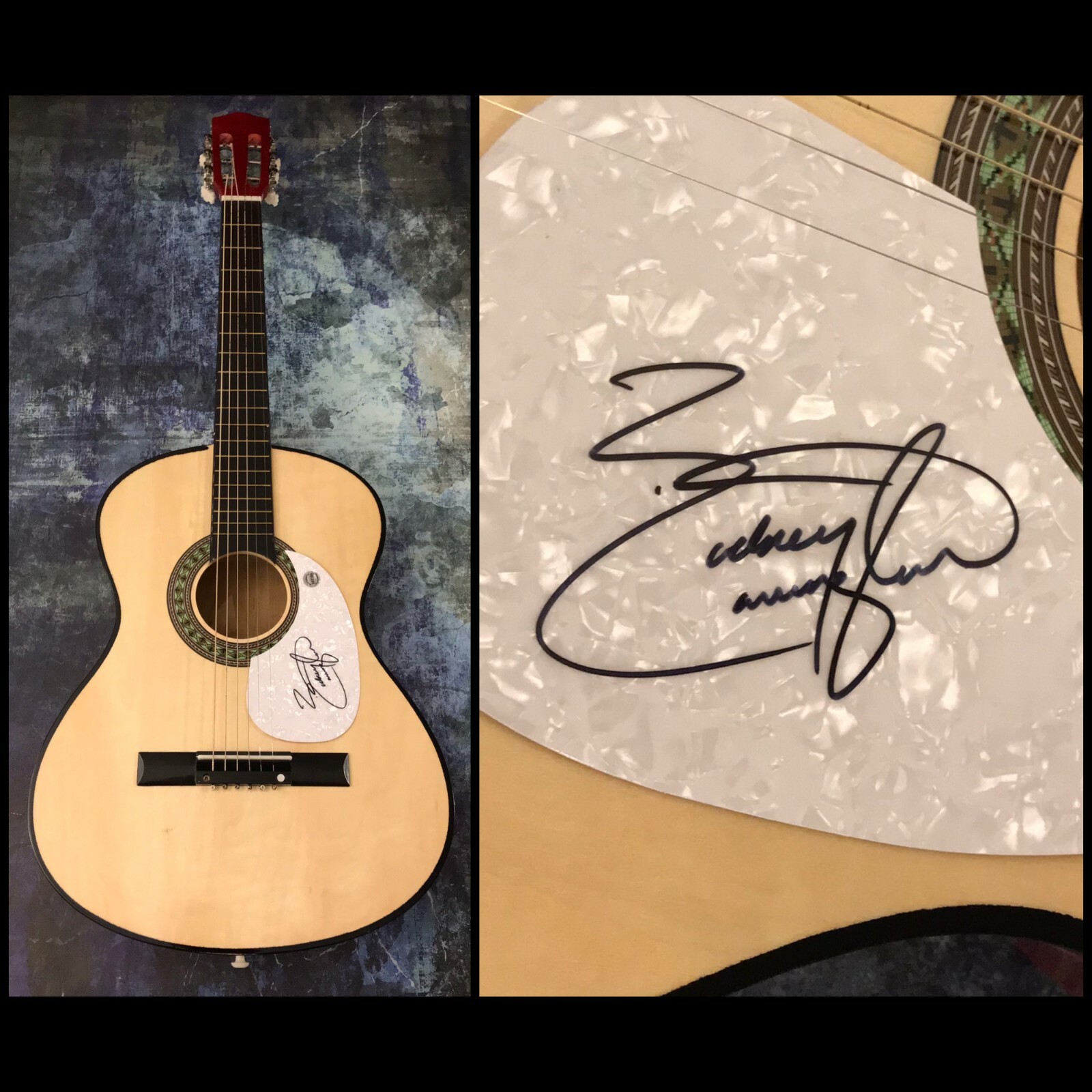 GFA Beer for My Horses * RODNEY CARRINGTON * Signed Acoustic Guitar R4 COA