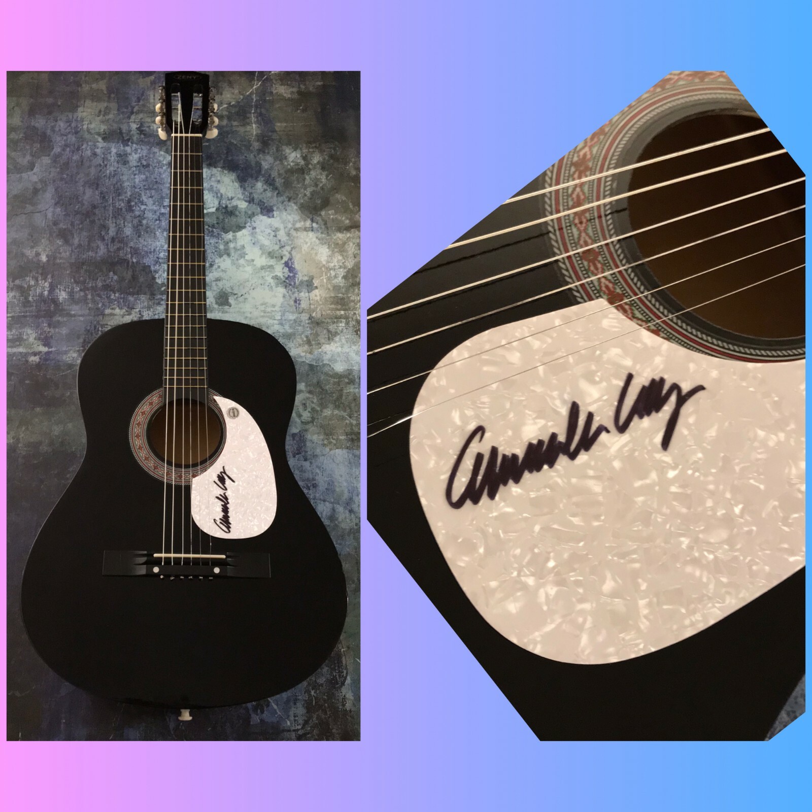 GFA And His Lost Planet Airmen * COMMANDER CODY * Signed Acoustic Guitar COA
