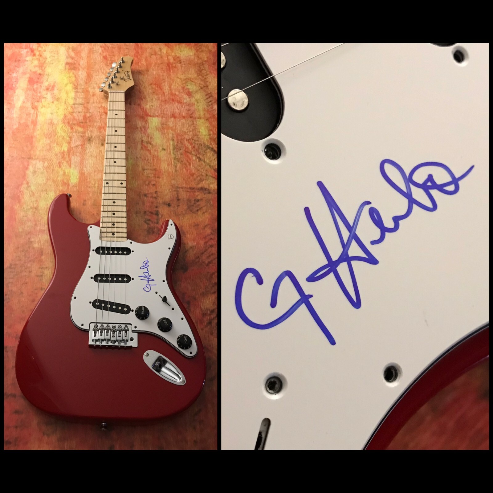 GFA PTSD 25 Street Loaded * G HERBO * Signed Electric Guitar PROOF G3 COA