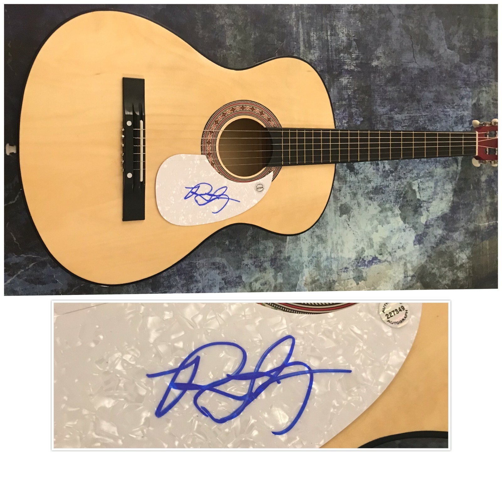 GFA Buy and Buy Home to Me * ROSS ELLIS * Signed Acoustic Guitar PROOF R3 COA
