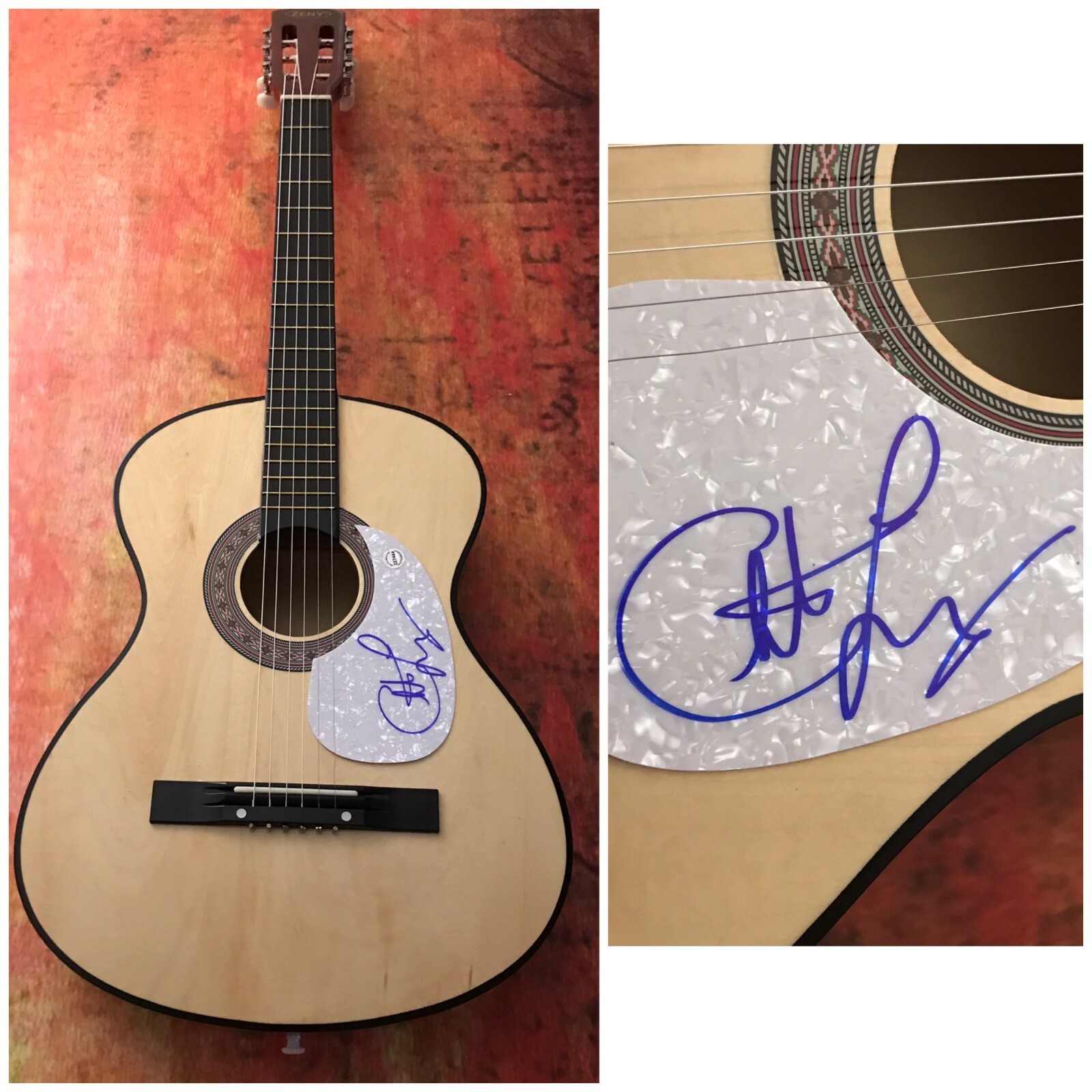 GFA Red Arrow Swim the River * CHRISTIAN LOPEZ * Signed Acoustic Guitar C3 COA