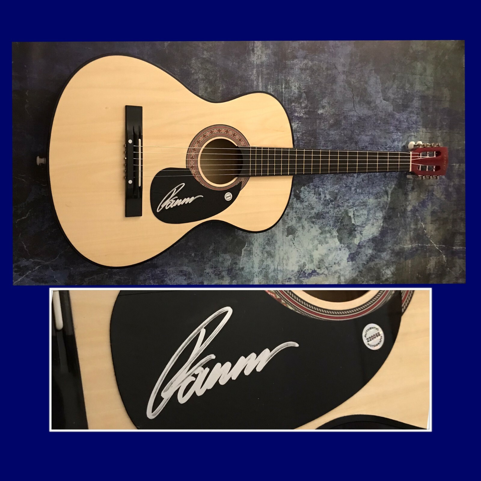 GFA Between You & Me * ROMAN ALEXANDER * Signed Acoustic Guitar R2 COA
