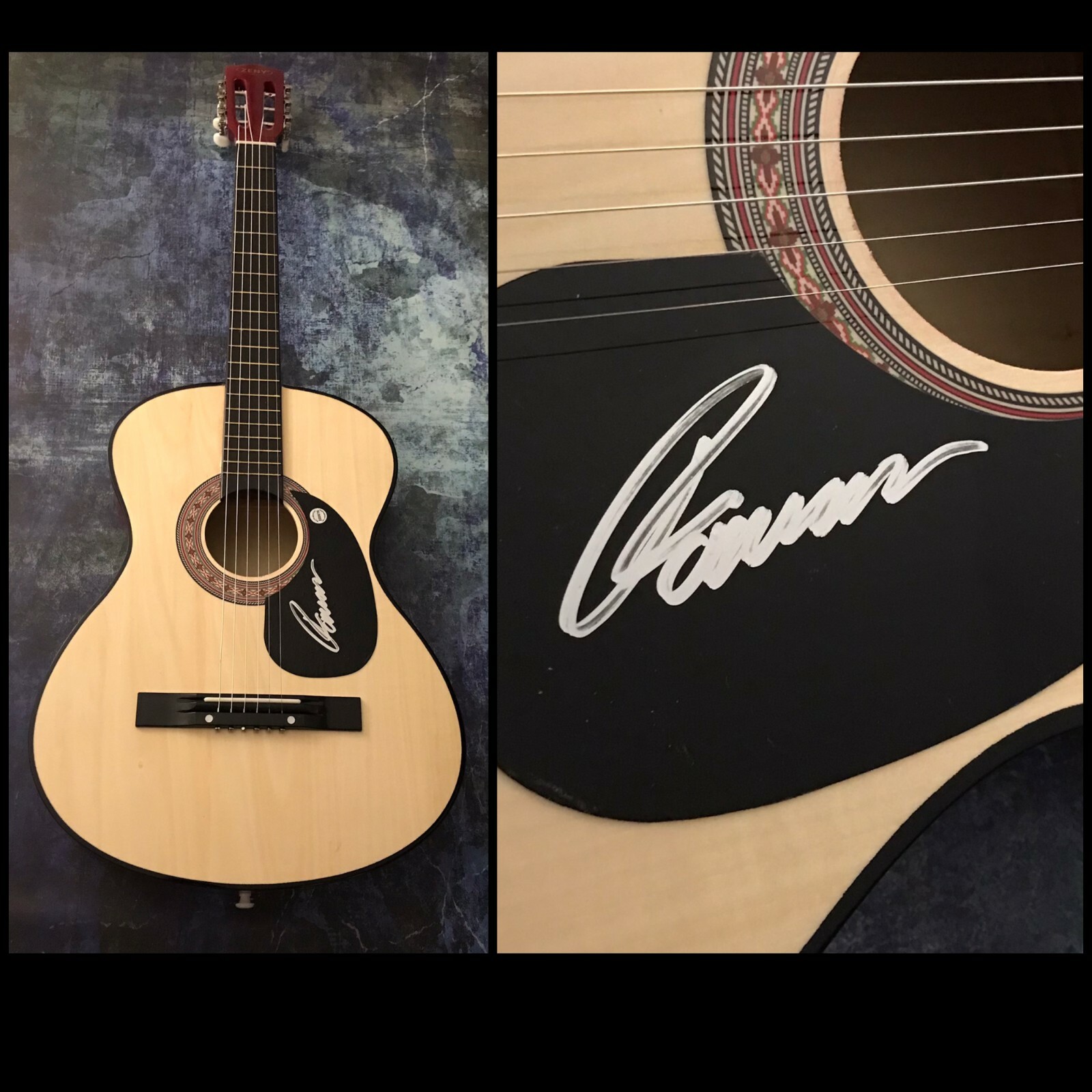 GFA Between You & Me * ROMAN ALEXANDER * Signed Acoustic Guitar R4 COA
