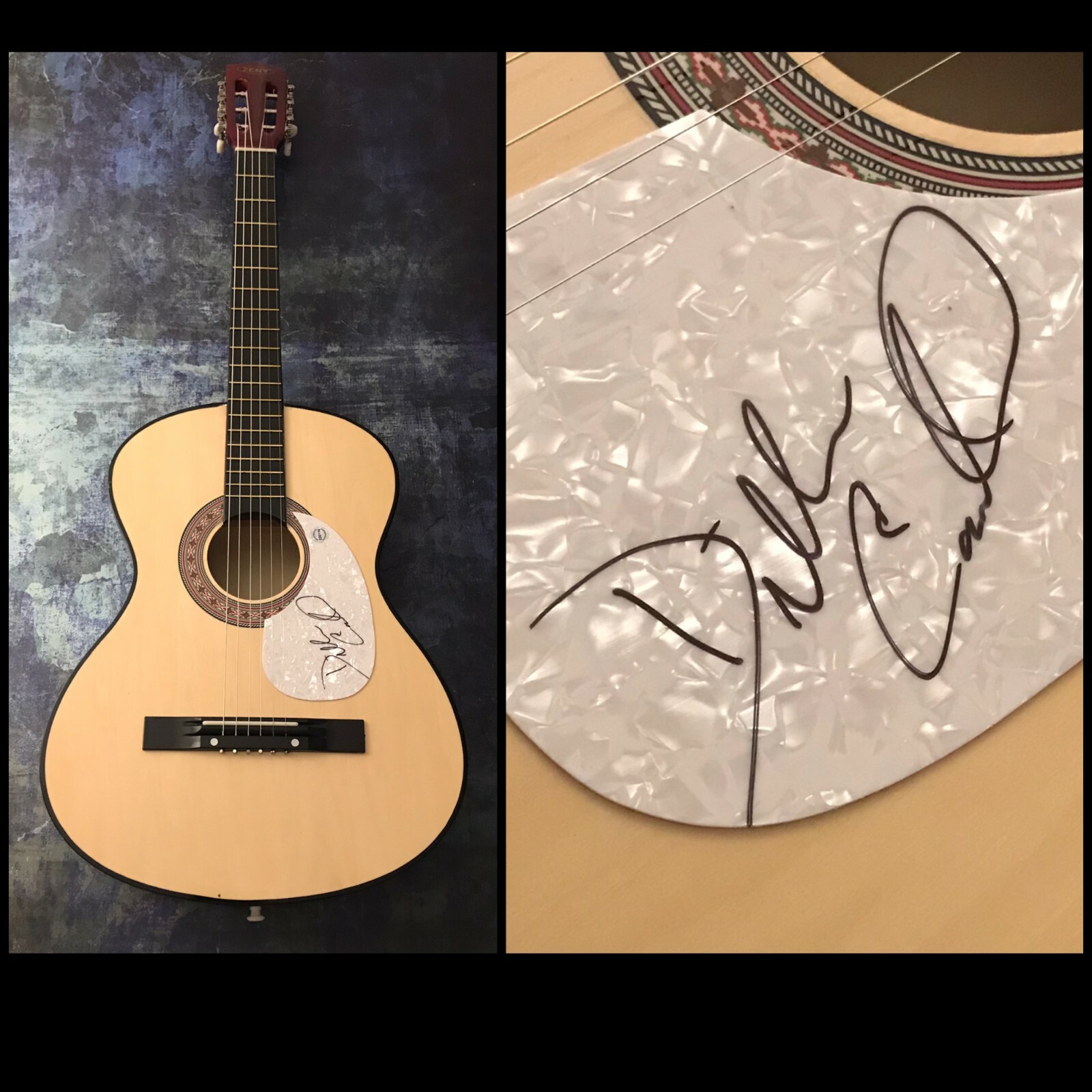 GFA Son of A Hot Beer * DILLON CARMICHAEL * Signed Acoustic Guitar PROOF D2 COA