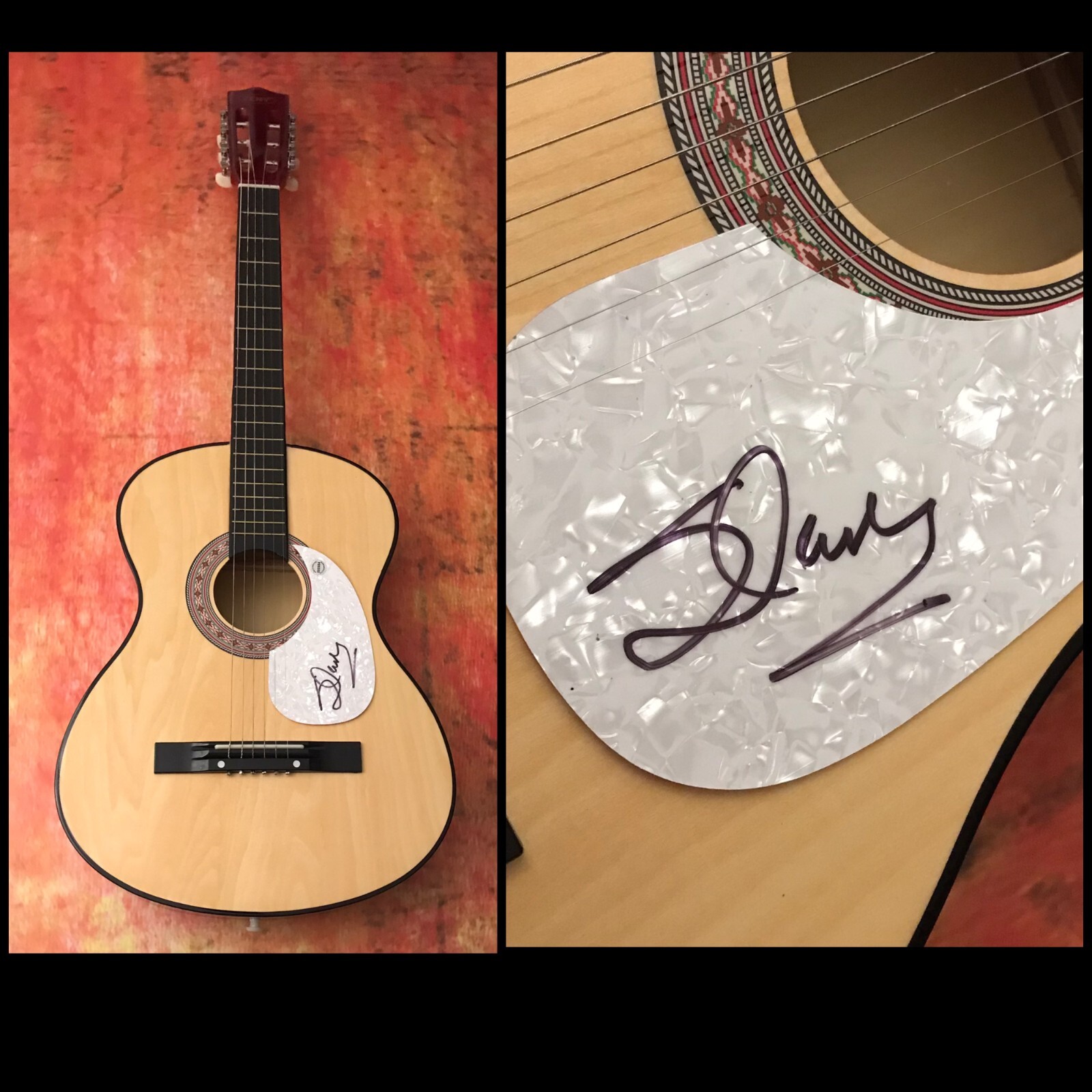 GFA I'm Easy to Love * STAN HITCHCOCK * Signed Acoustic Guitar S4 COA
