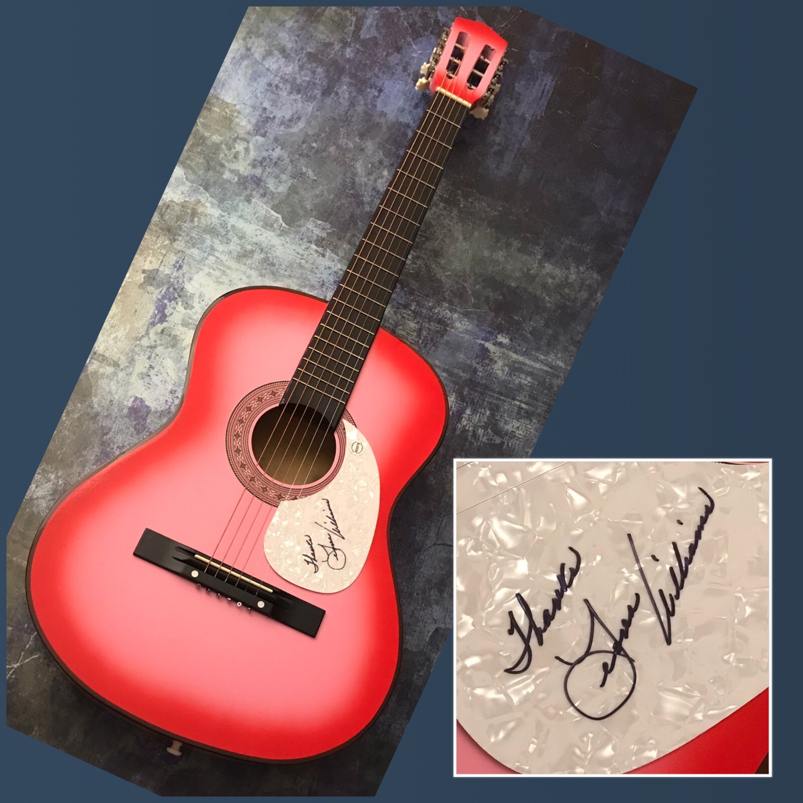 GFA The Bull and the Beaver * LEONA WILLIAMS * Signed Acoustic Guitar L2 COA
