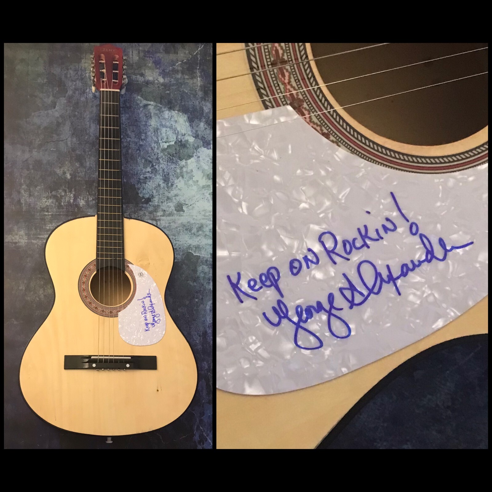 GFA Flamin' Groovies Band * GEORGE ALEXANDER * Signed Acoustic Guitar COA
