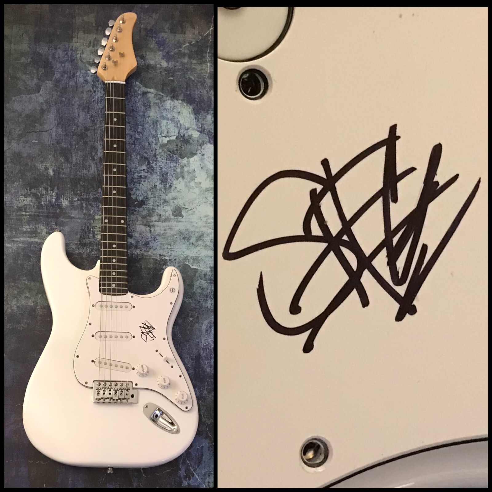 GFA Sumo Cyco Band Singer * SKYE SWEETNAM * Signed Electric Guitar PROOF S4 COA
