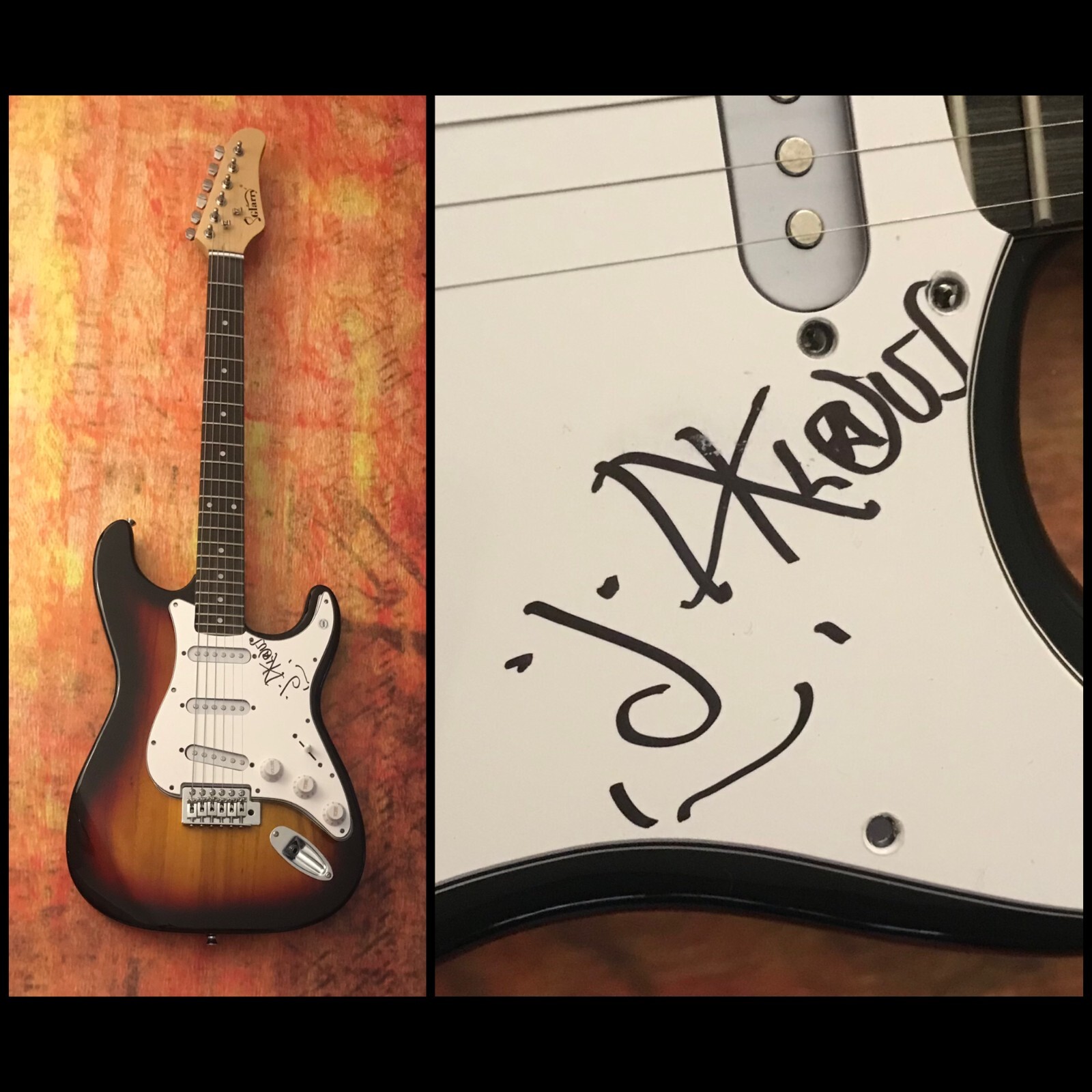 GFA Dead Kennedys Guitarist * KLAUS FLOURIDE * Signed Electric Guitar PROOF COA
