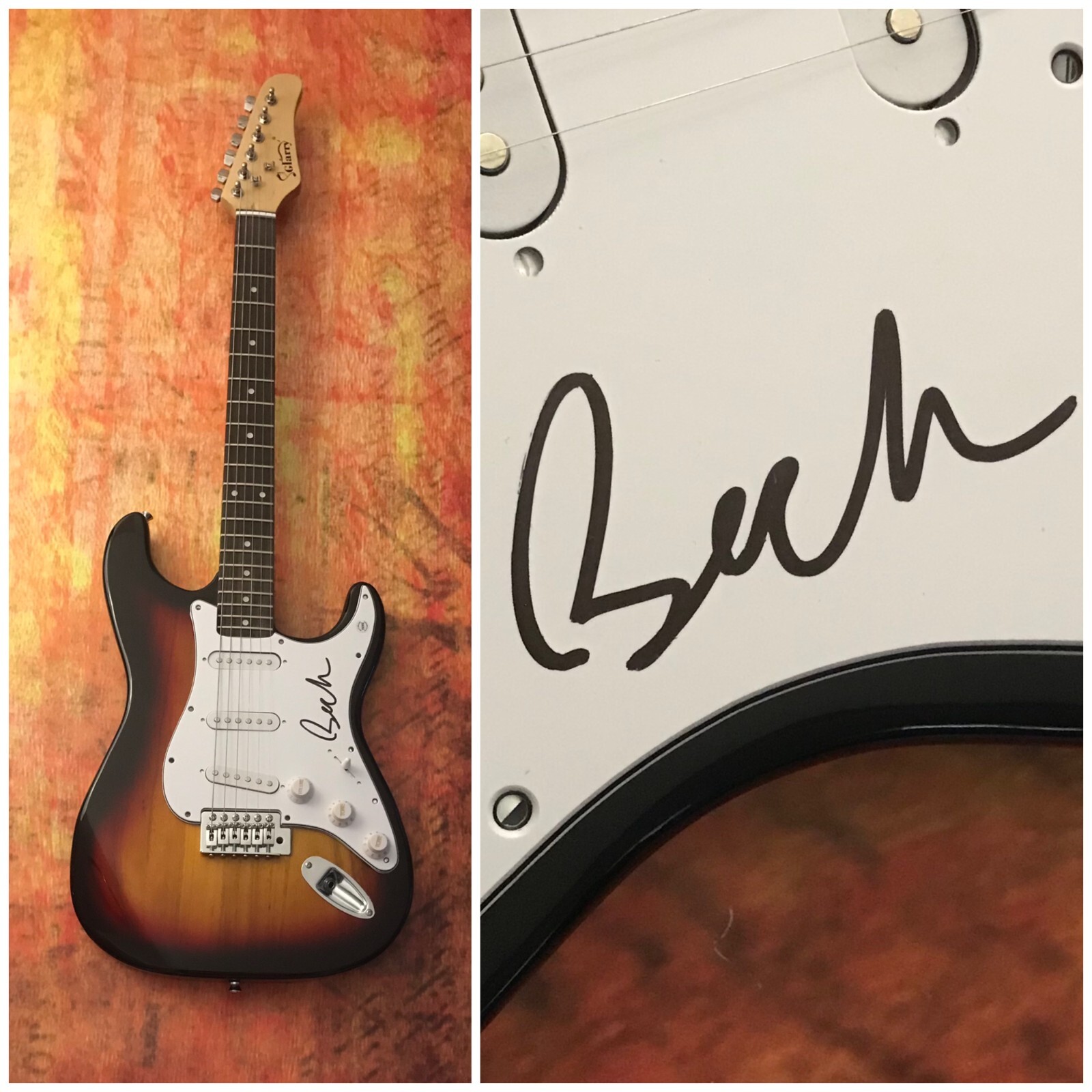 GFA Hits Loser & Sexx Laws * BECK HANSEN * Signed Electric Guitar PROOF B2 COA
