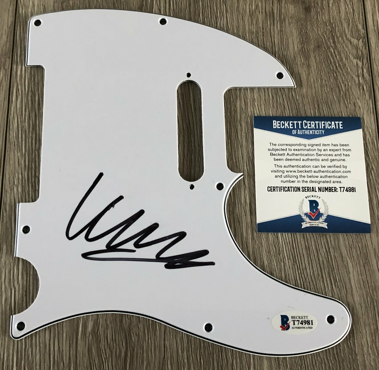 MARCUS MUMFORD AND & SONS SIGNED GUITAR PICKGUARD w/EXACT PROOF BAS BECKETT COA
