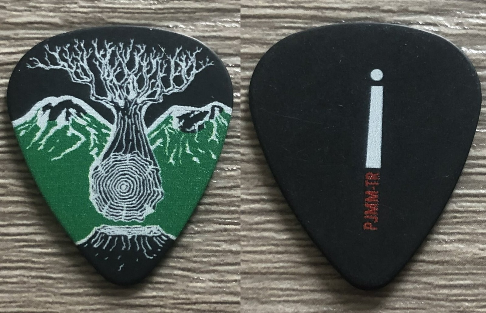 MIKE MCCREADY PEARL JAM LETTER I GUITAR PICK PERSONALLY GIVEN TO ME BY MIKE
