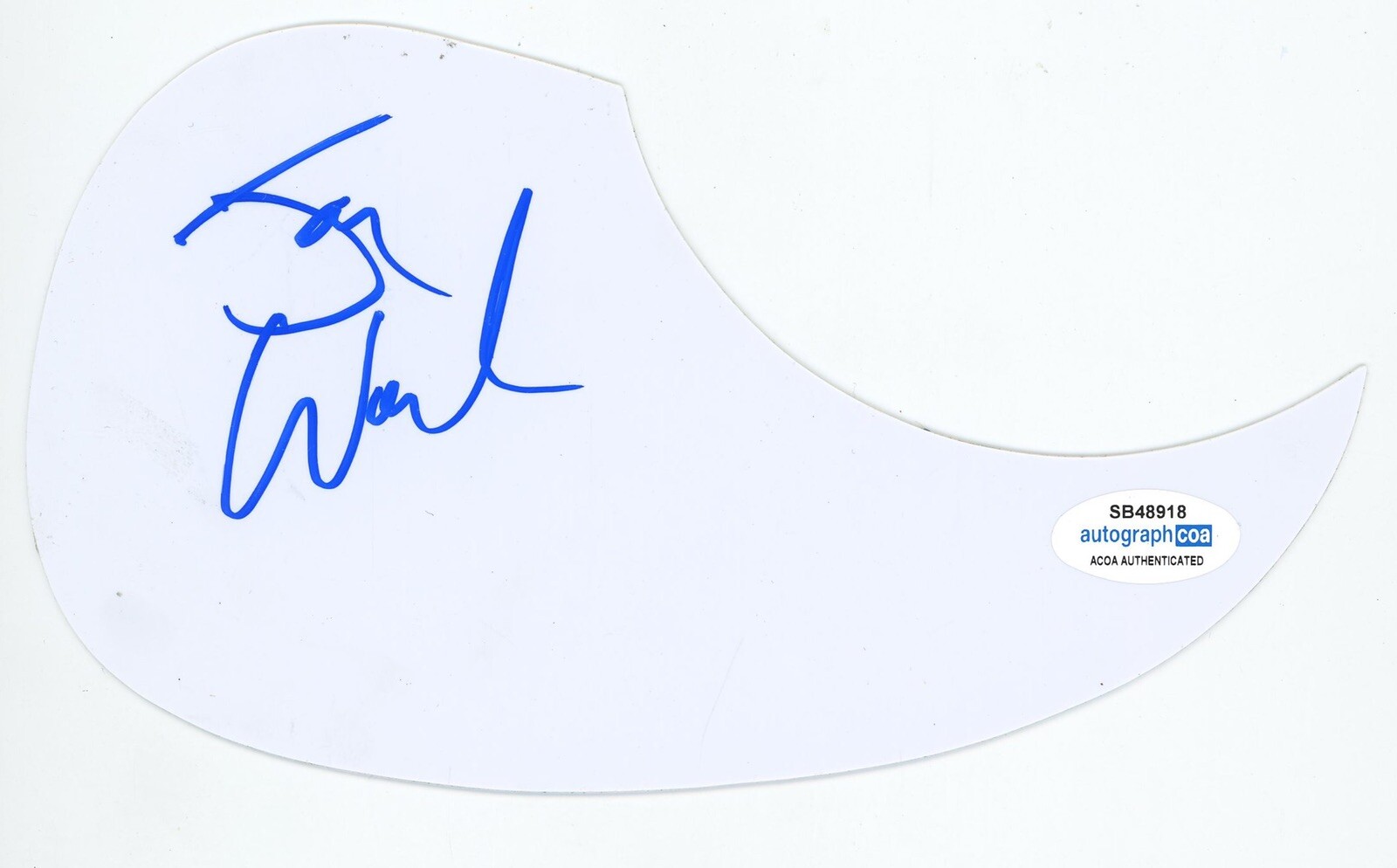 JOHN WOZNIAK MARCY PLAYGROUND SIGNED AUTOGRAPH ACOUSTIC GUITAR PICKGUARD ACOA