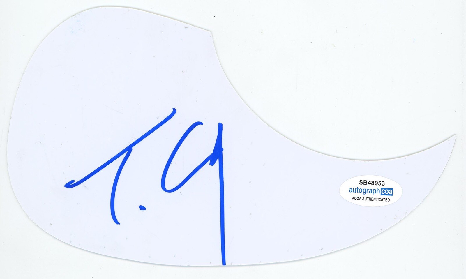 TYLER CONNOLLY SIGNED AUTOGRAPH ACOUSTIC PICKGUARD THEORY OF A DEADMAN ACOA