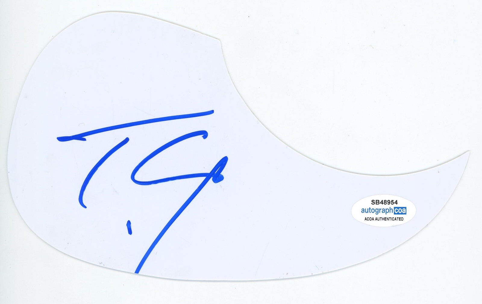 TYLER CONNOLLY SIGNED AUTOGRAPH ACOUSTIC PICKGUARD THEORY OF A DEADMAN ACOA