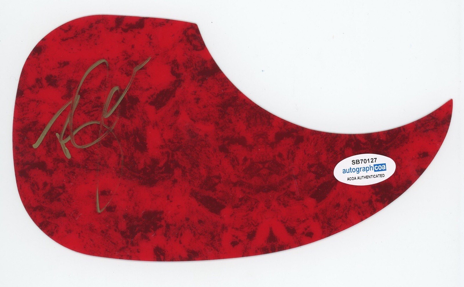 TYLER RICH SIGNED AUTOGRAPH ACOUSTIC GUITAR PICKGUARD ACOA THE DIFFERENCE
