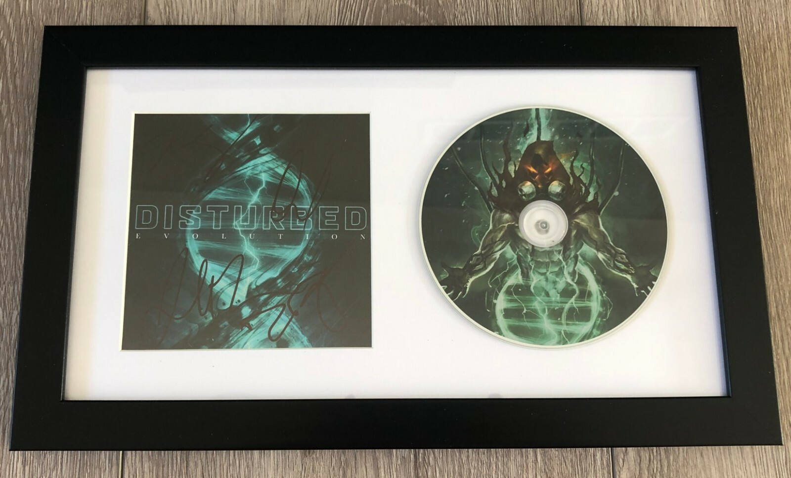 DISTURBED SIGNED FRAMED MATTED EVOLUTION CD w/EXACT VIDEO PROOF DAVID DRAIMAN +3
