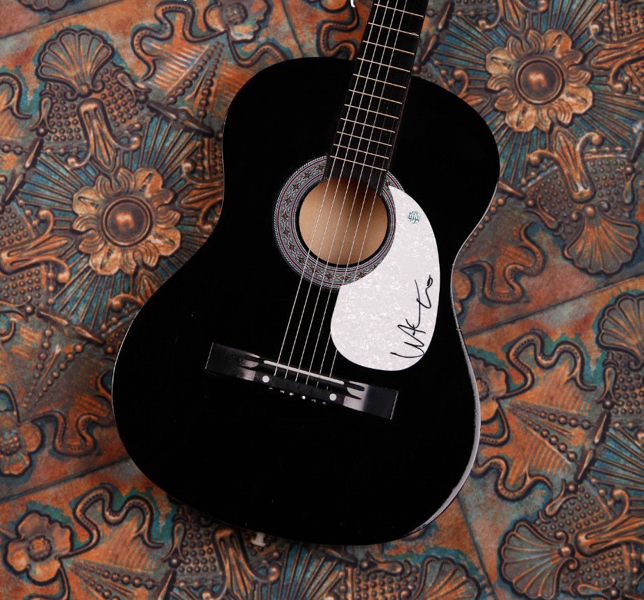 GFA The Flaming Lips * WAYNE COYNE * Signed Acoustic Guitar AD1 PROOF COA