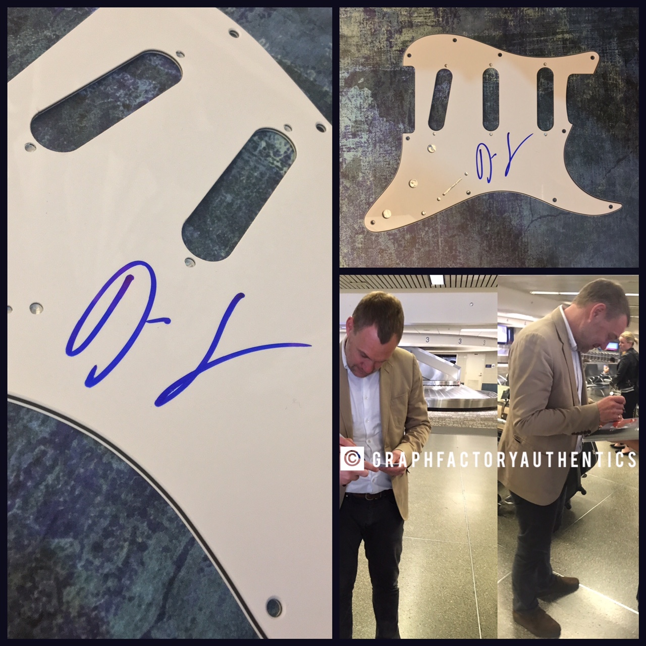 GFA Babylon White Ladder * DAVID GRAY * Signed Electric Guitar Pickguard AD1 COA