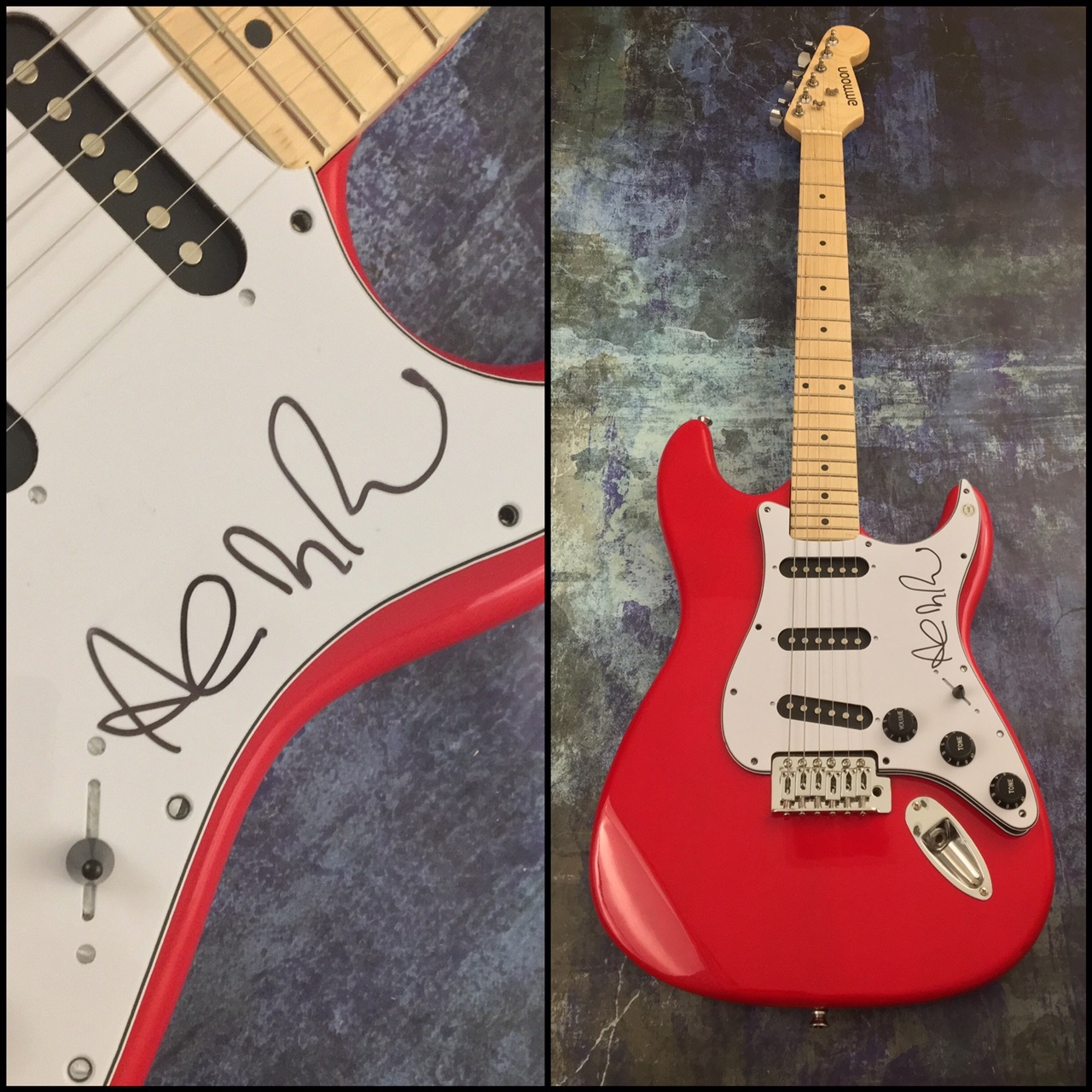 GFA In the Wilderness * ANDREW McMAHON * Signed Autograph Electric Guitar AD COA