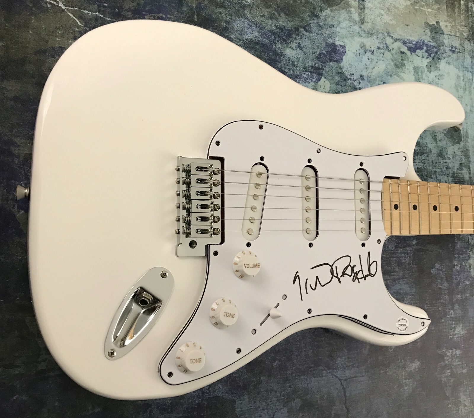 GFA Bush Frontman * GAVIN ROSSDALE * Signed Electric Guitar PROOF G3 COA