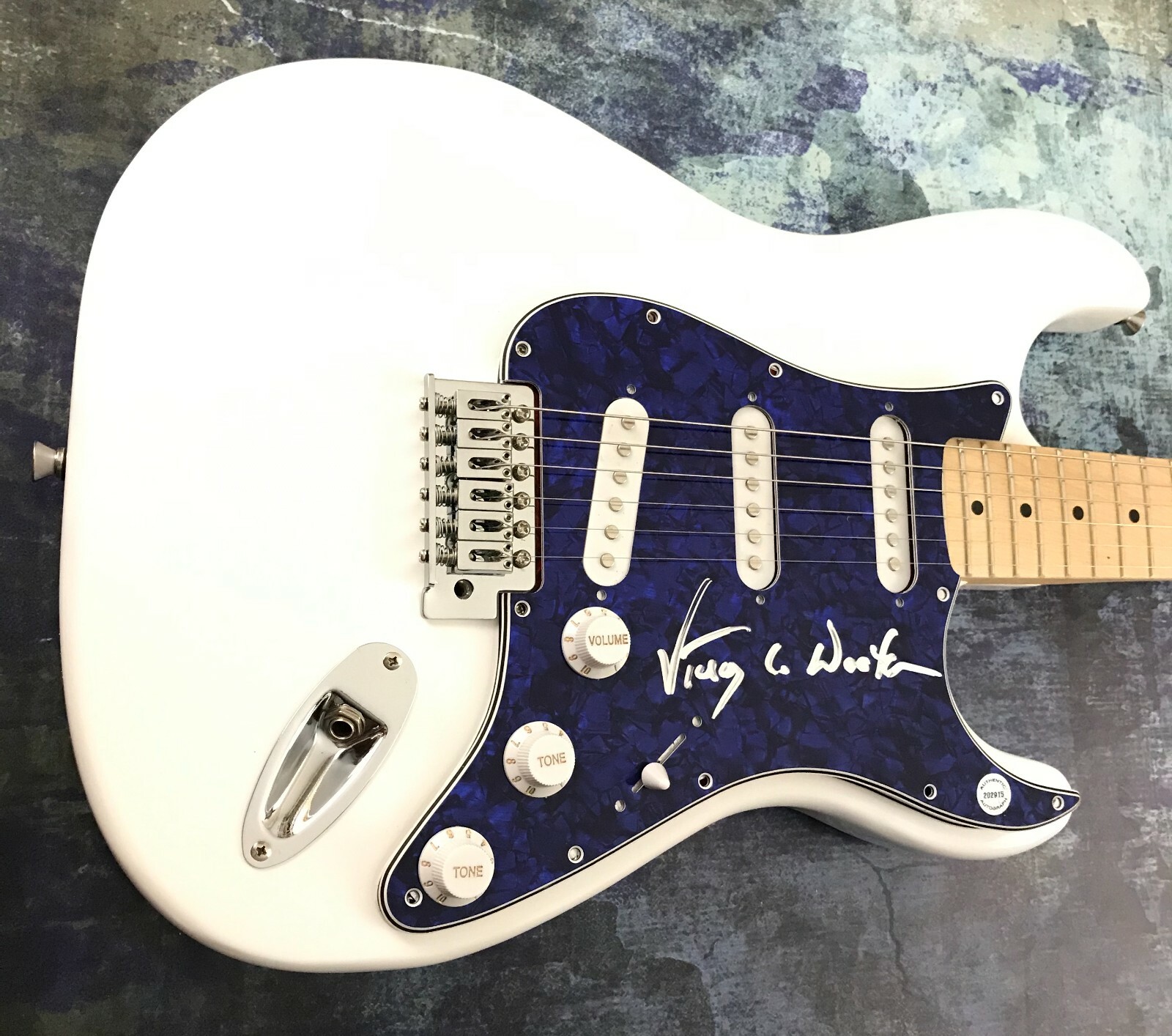 GFA Bela Fleck Bassist * VICTOR WOOTEN * Signed Autograph Electric Guitar V4 COA