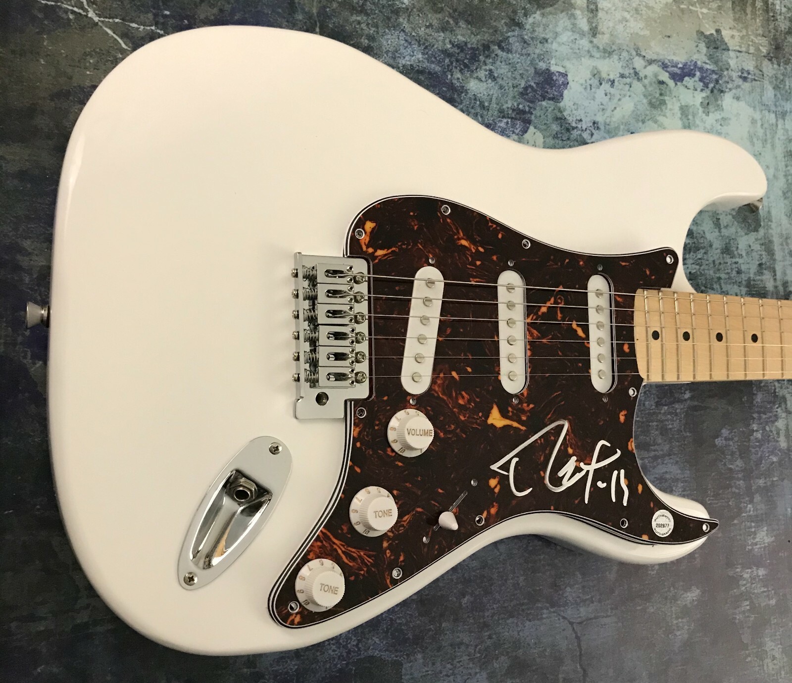 GFA Pantera Band Guitarist * REX BROWN * Signed Electric Guitar PROOF R4 COA