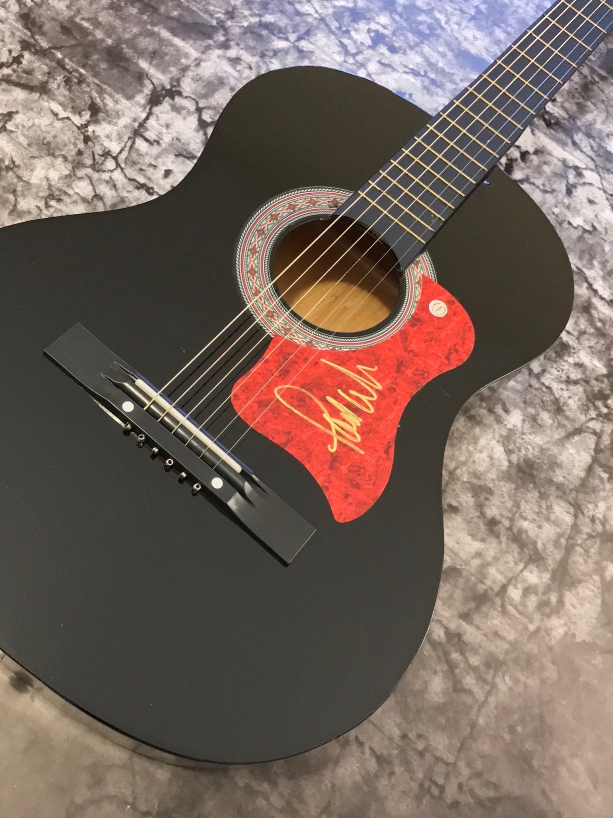 GFA The Carpenters * PAUL WILLIAMS * Signed Acoustic Guitar COA