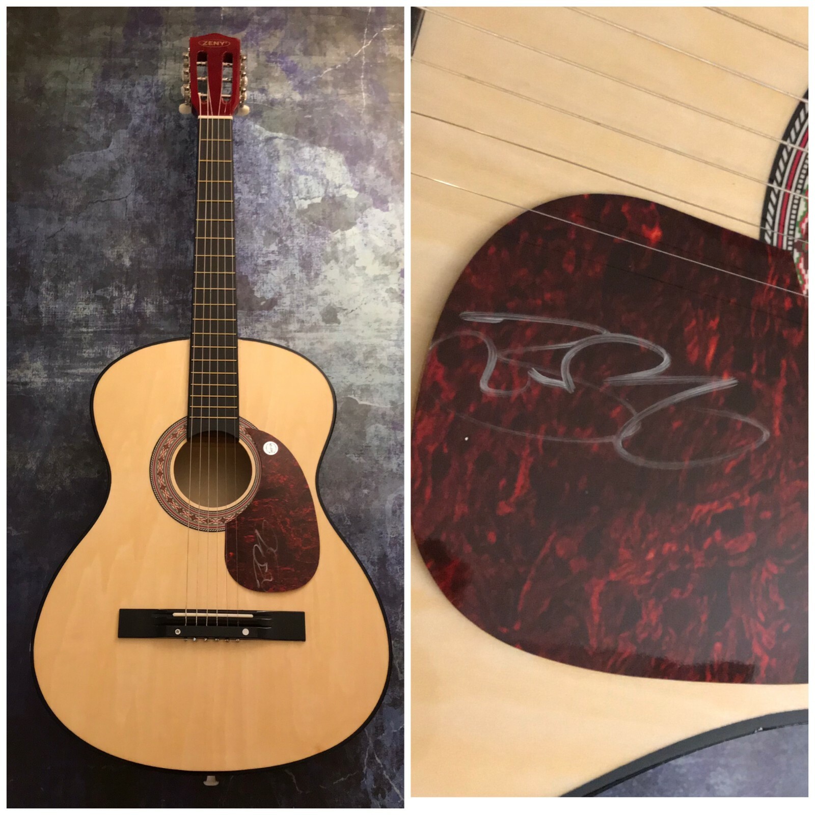 GFA Fuel Band Shimmer * BRETT SCALLIONS * Signed Acoustic Guitar B COA
