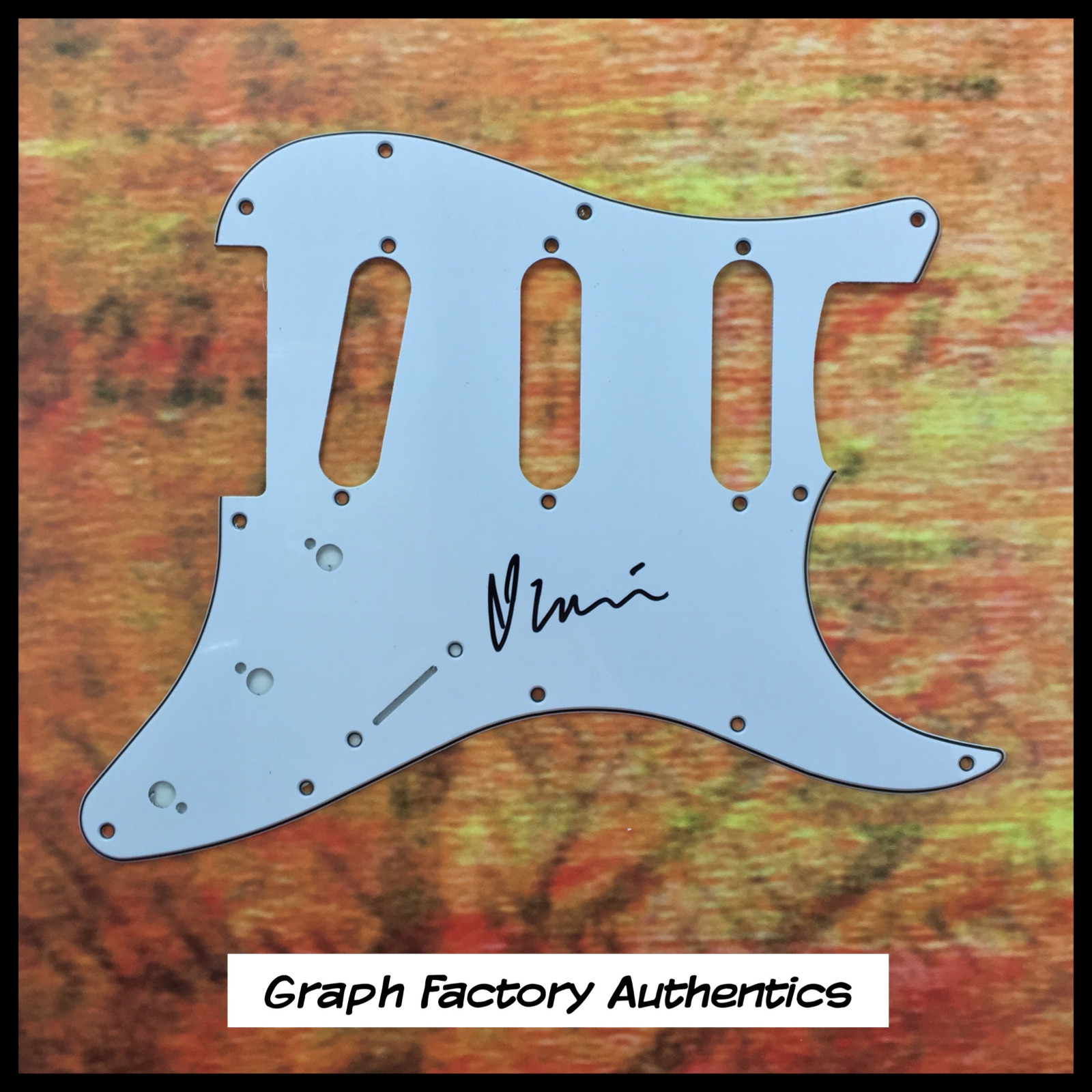 GFA Sleater-Kinney Guitarist * CORIN TUCKER * Signed Electric Pickguard AD1 COA