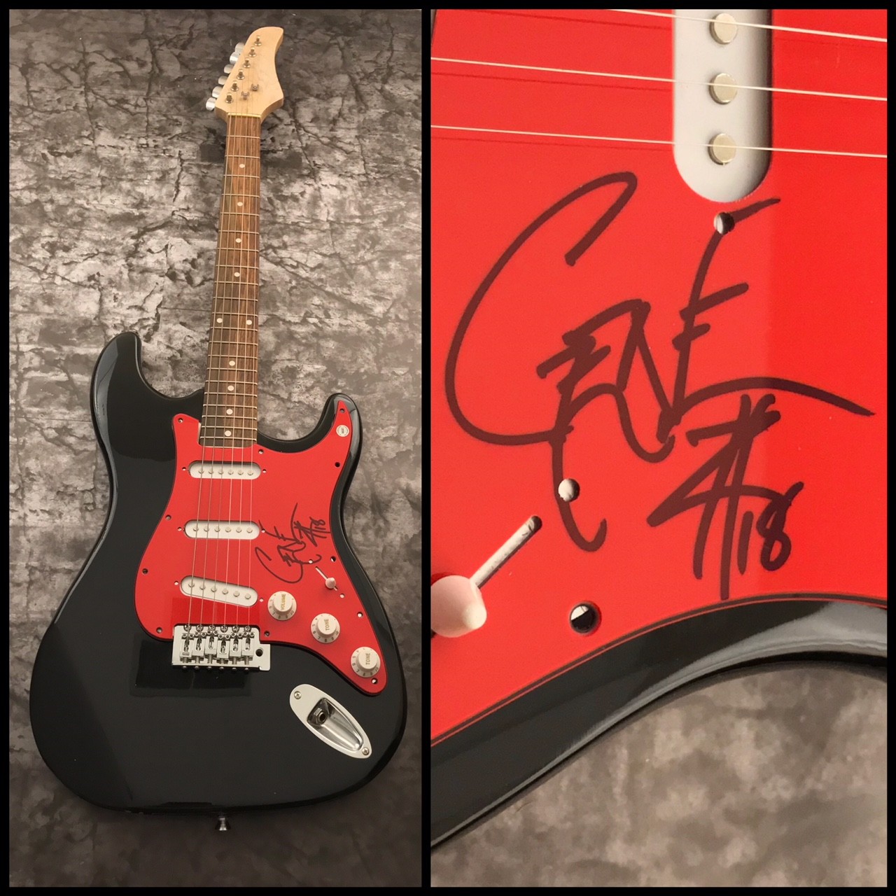 GFA Dethklok & Metalocalypse * GENE HOGLAN * Signed Electric Guitar LA1 COA