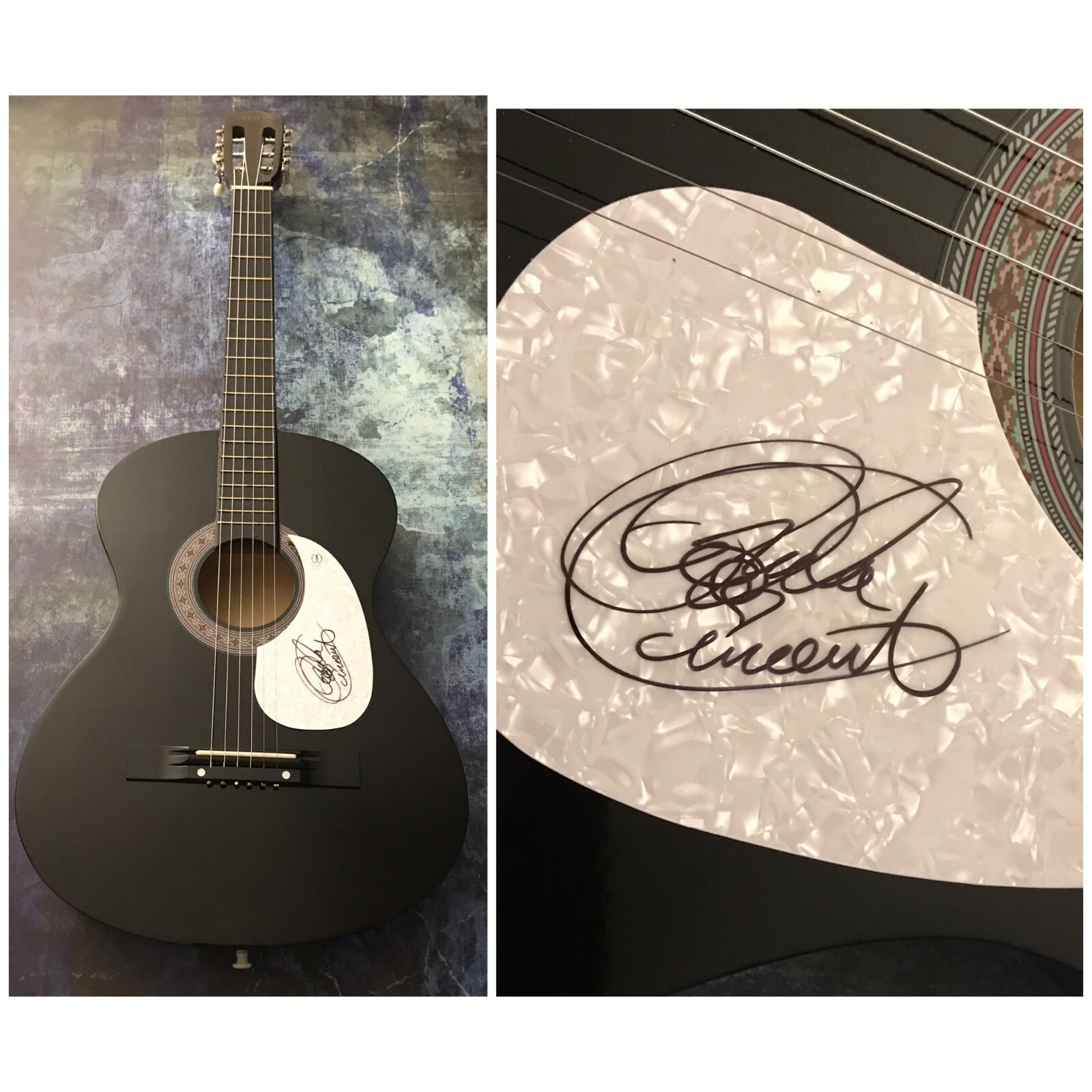 GFA The Storm Still Rages * RHONDA VINCENT * Signed Acoustic Guitar COA