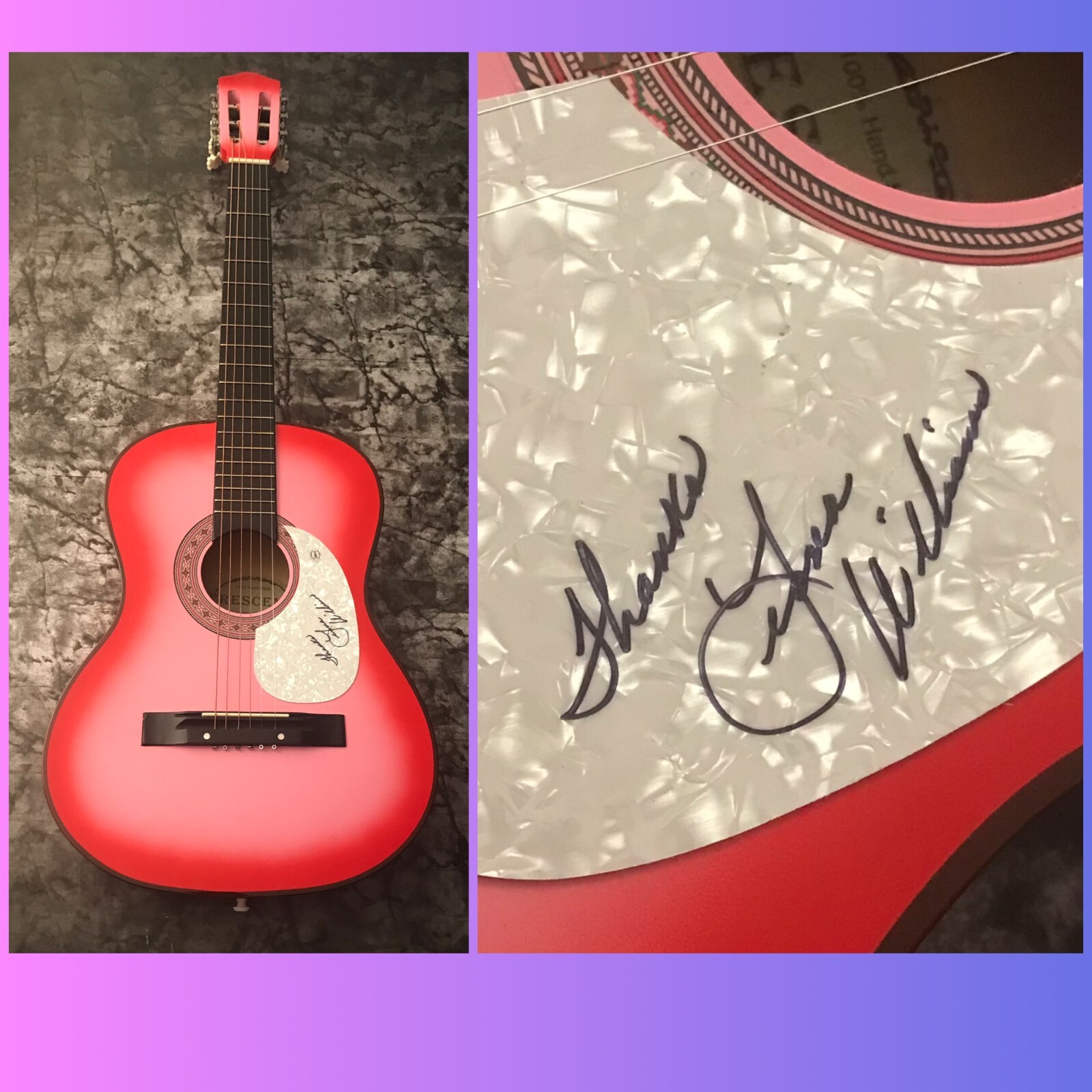 GFA The Bull and the Beaver * LEONA WILLIAMS * Signed Acoustic Guitar L4 COA