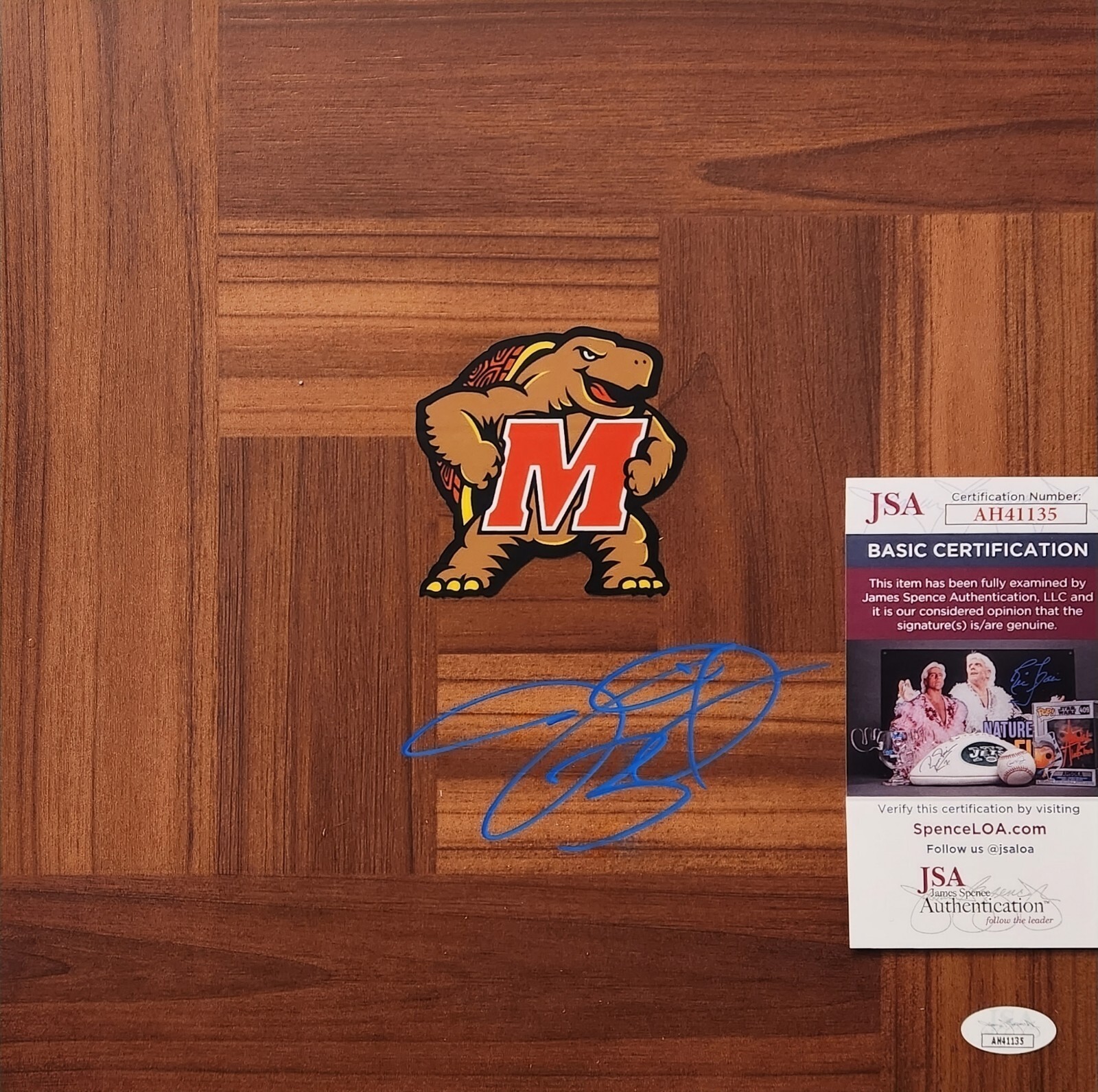 Juan Dixon Signed Floorboard w/ JSA COA #AH41135 Maryland Terrapins