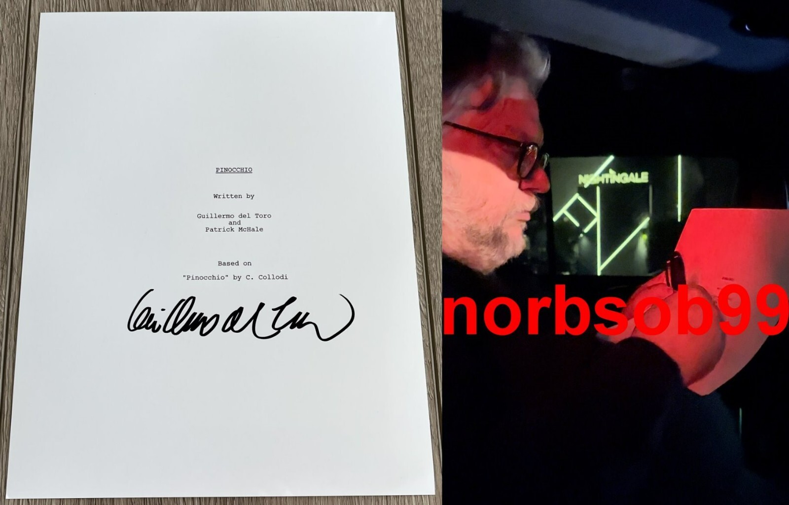 GUILLERMO DEL TORO SIGNED AUTOGRAPH PINOCCHIO 120 PG SCRIPT w/EXACT PROOF
