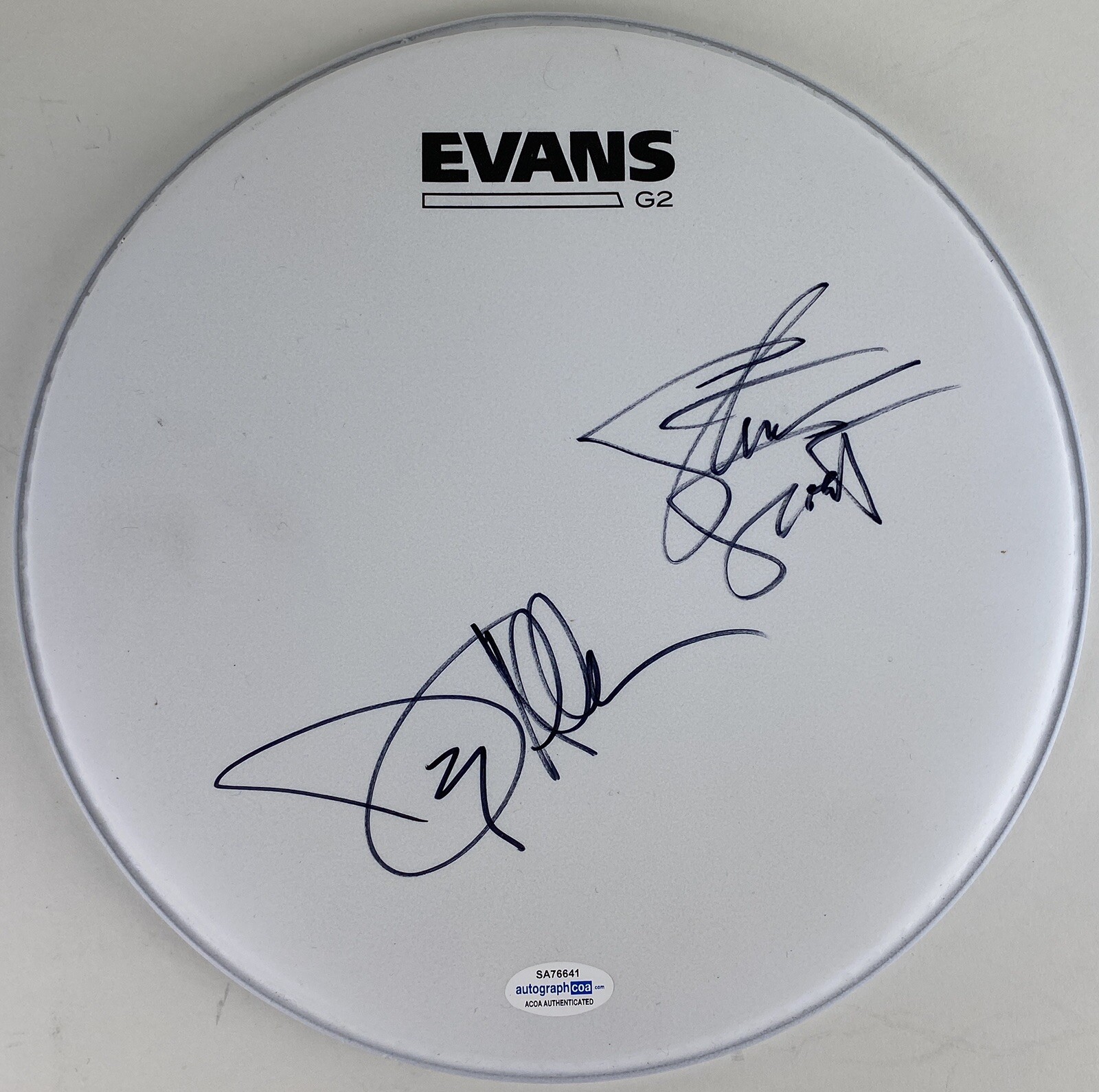 JOEY ALLEN STEVEN SWEET WARRANT SIGNED AUTOGRAPH DRUMHEAD ACOA CHERRY PIE