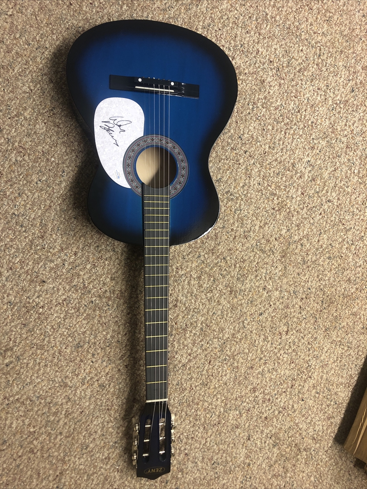 DON BARNES 38 SPECIAL SIGNED AUTOGRAPH 38” ACOUSTIC GUITAR ACOA COA ROCK