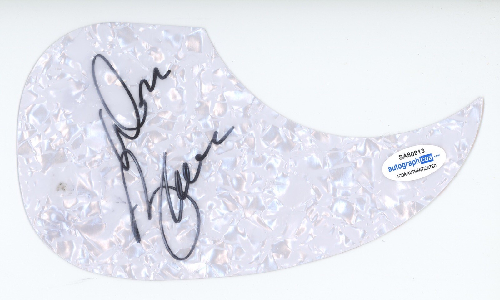 DON BARNES 38 SPECIAL SIGNED AUTOGRAPH ACOUSTIC GUITAR PICKGUARD ACOA COA ROCK