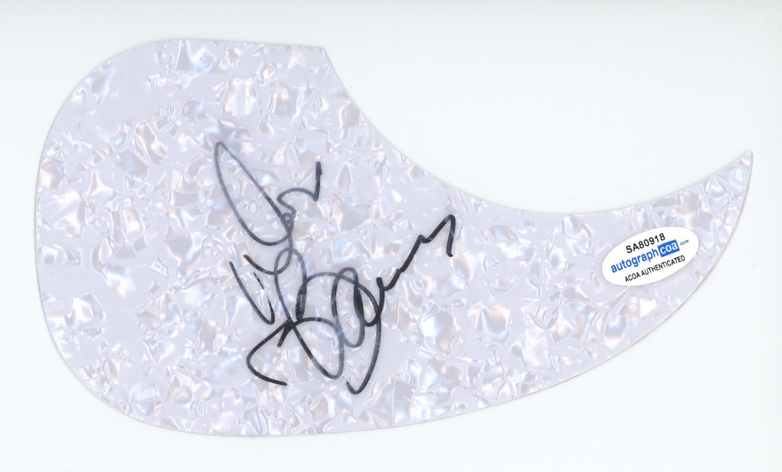 DON BARNES 38 SPECIAL SIGNED AUTOGRAPH ACOUSTIC GUITAR PICKGUARD ACOA COA ROCK