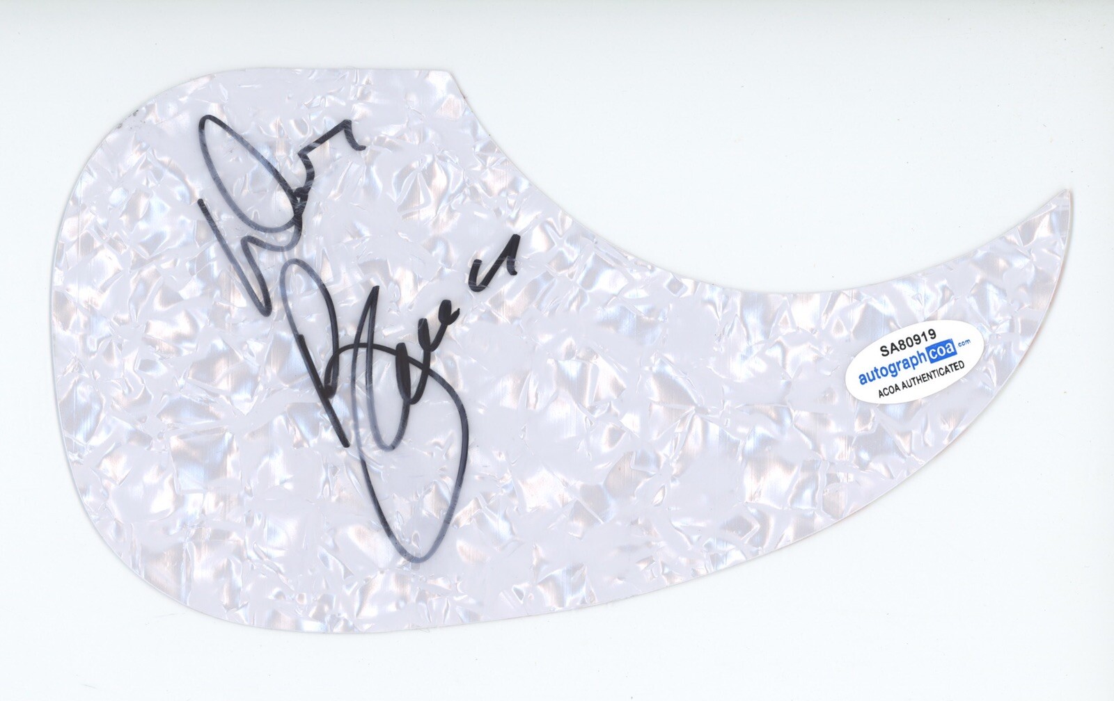 DON BARNES 38 SPECIAL SIGNED AUTOGRAPH ACOUSTIC GUITAR PICKGUARD ACOA COA ROCK