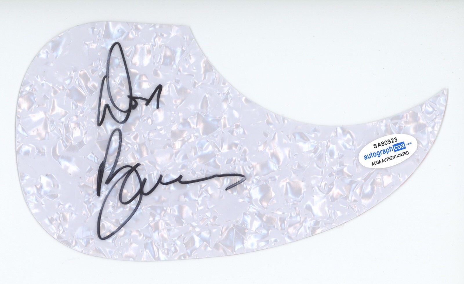 DON BARNES 38 SPECIAL SIGNED AUTOGRAPH ACOUSTIC GUITAR PICKGUARD ACOA COA ROCK