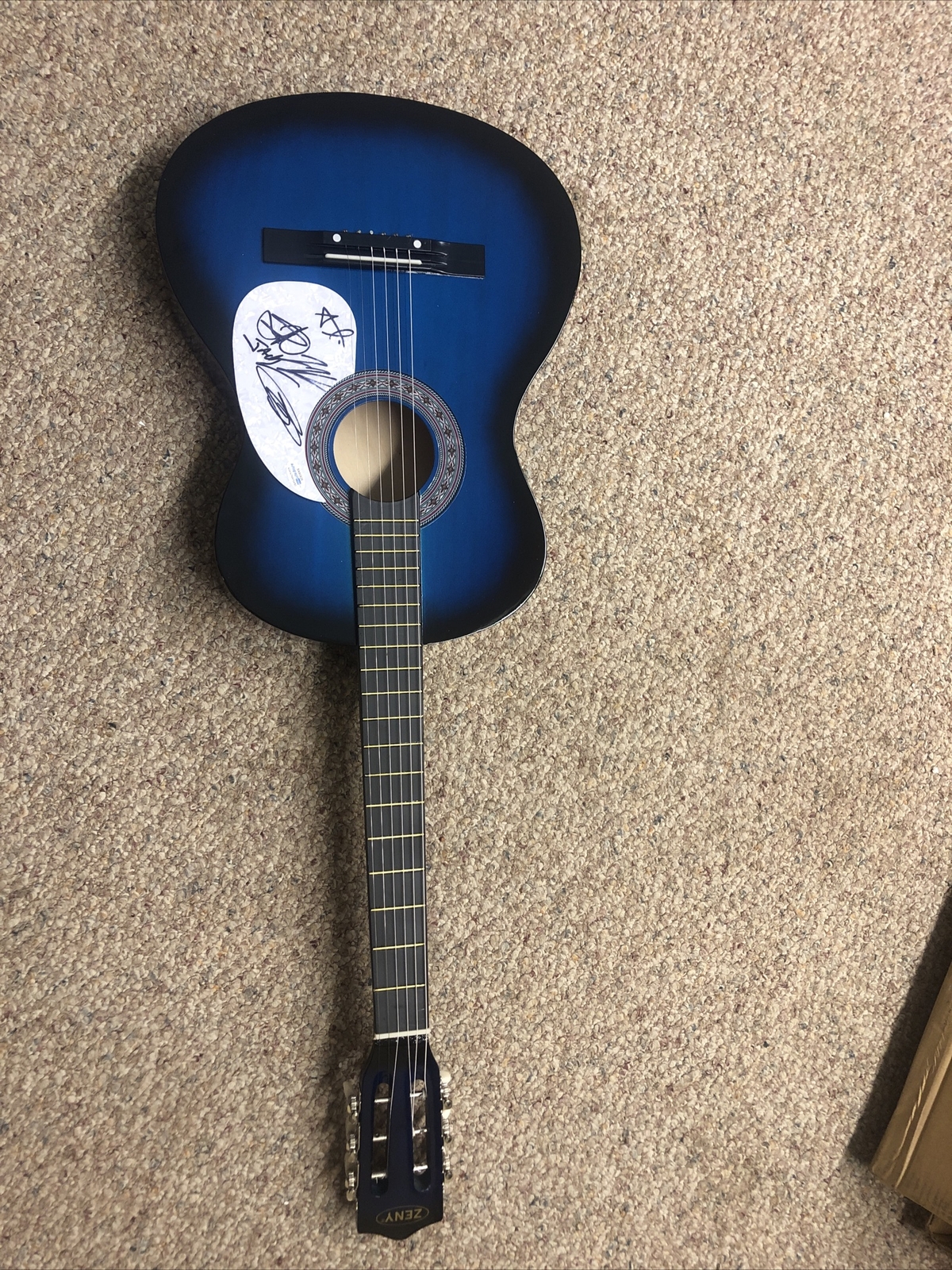 JACKYL FULL BAND SIGNED AUTOGRAPH 38” ACOUSTIC GUITAR ACOA COA JESSE & MORE!