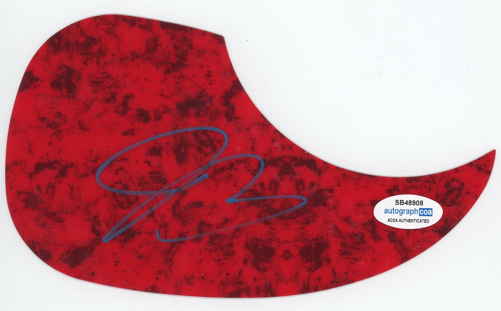 JOE BONAMASSA SIGNED AUTOGRAPH ACOUSTIC GUITAR PICKGUARD ACOA GRAMMY LEGEND