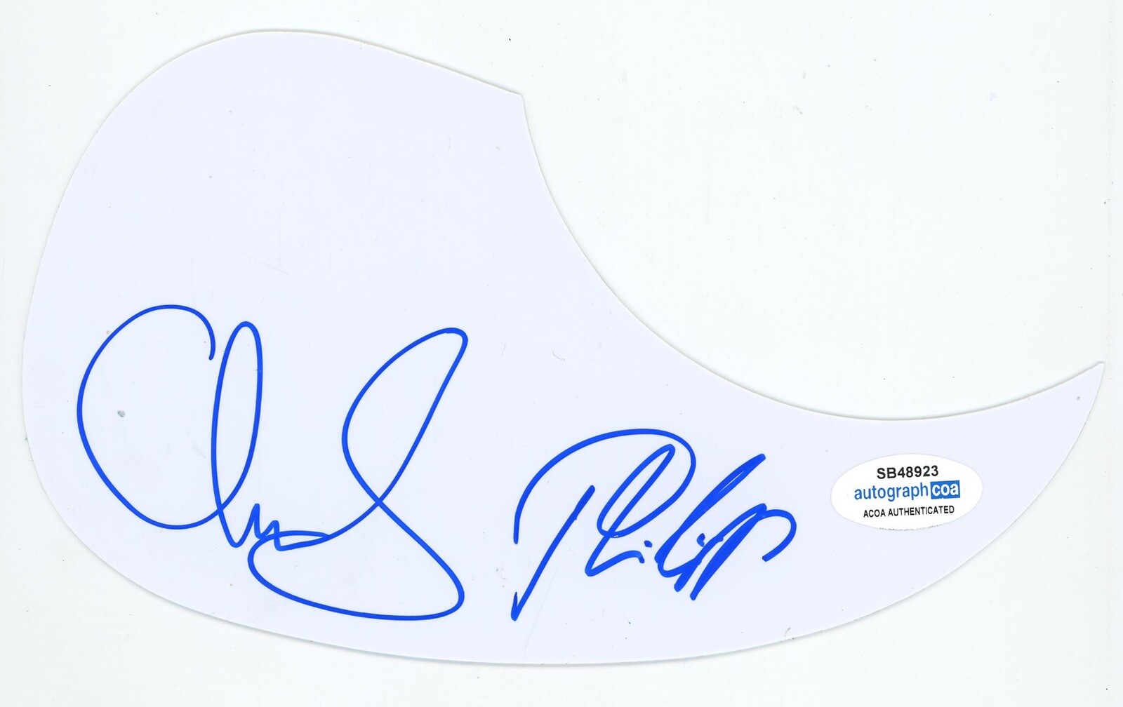 MILKY CHANCE SIGNED AUTOGRAPH ACOUSTIC GUITAR PICKGUARD ACOA STOLEN DANCE