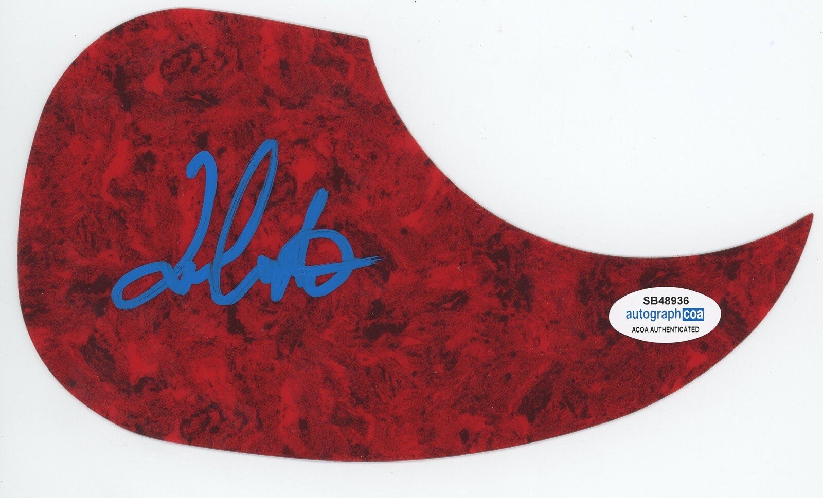 TOMMY CASTRO PAINKILLERS SIGNED AUTOGRAPH ACOUSTIC GUITAR PICKGUARD ACOA